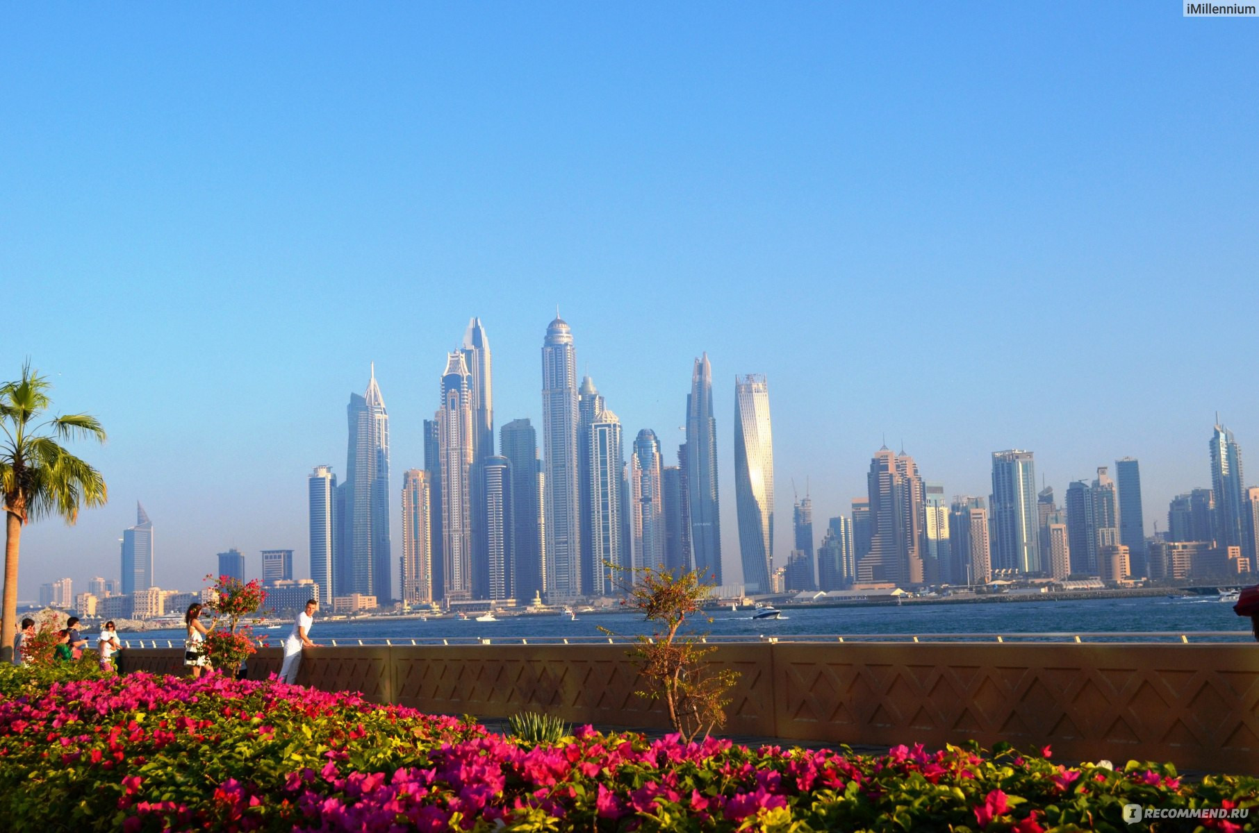 В ОАЭ растет количество сверхбогатых людей