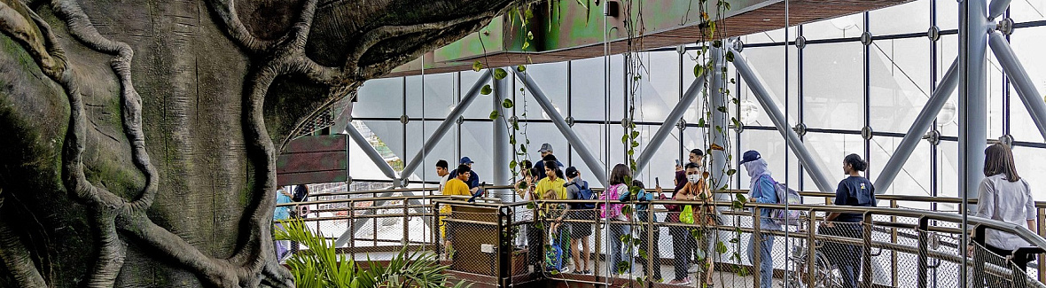 Список мест в ОАЭ, где можно встретить уникальных животных