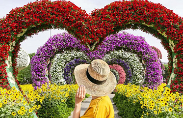 Dubai Miracle Garden — a floral wonder of Dubai that you must see at least once in your lifetime