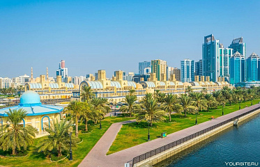 Sharjah Leads the UAE in Foreign Investment Growth