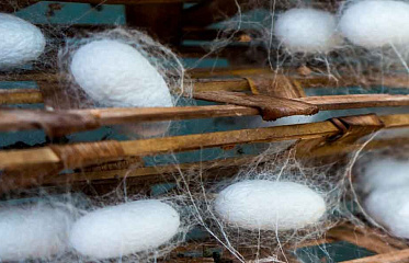Ancient Silk Traditions of Cyprus